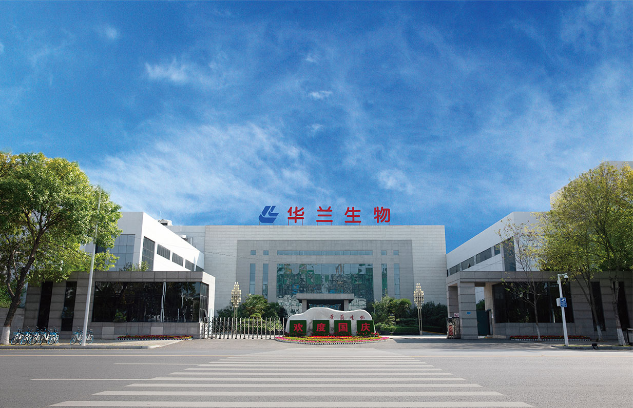 SG胜游风采